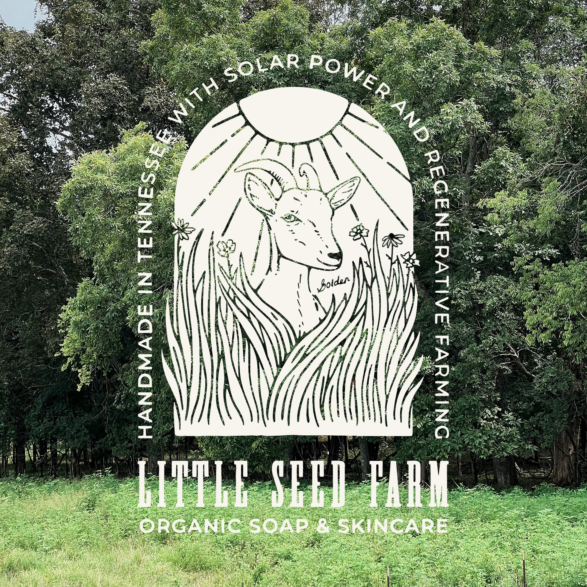 LSF T-Shirt - Image 6